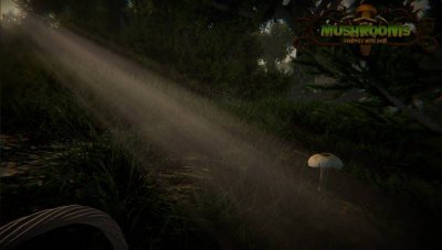 Mushrooms Forest Walker